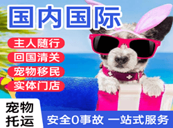 启阳航空邮寄国际宠物托运 【国